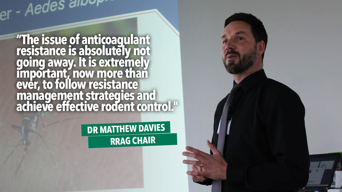 new-rrag-chair new-rrag-chair